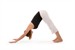 Downward facing dog
